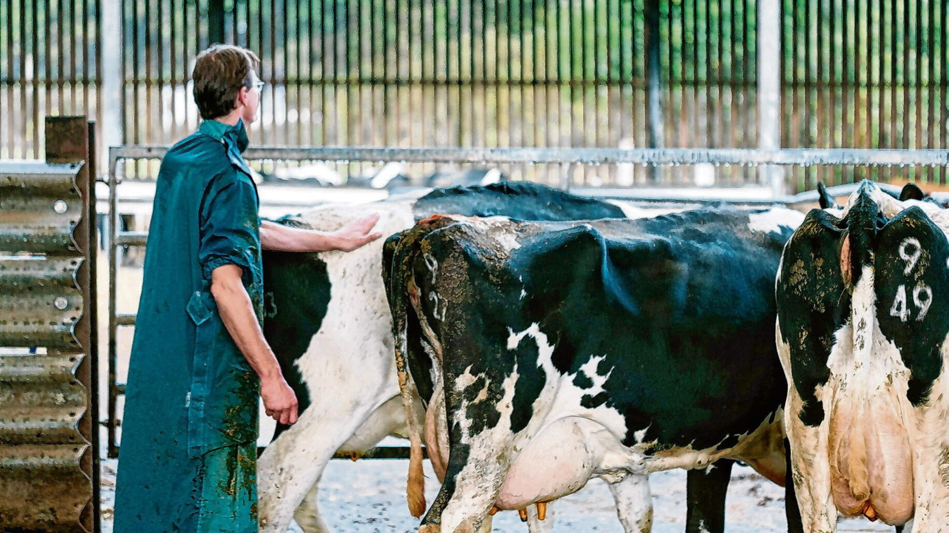 TB programme funding cut a ‘sign of success’, says Heydon